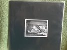 Full Blown Aids A.I.D.S. Leech Vinyl Record Lp Seth Putman of Anal Cunt Grindcor