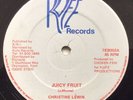 Christine Lewin - Juicy Fruit - Vinyl 12” Rare Misprint - Reggae Lovers Rock Ex