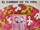 LOS PAVOS REALES - EL CAMINO DE TU VIDA - LP VG+/VG+ SUNGLOW SLP 122 RARE