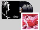 THE CHEMICAL BROTHERS DIG YOUR OWN HOLE LE xx/2000 In Hand