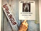Jerry Jeff Walker 1973 Vinyl LP Playtested MCA-382 1st Press Viva Terlingua Live