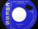 the RAYS 45 Second Fiddle / How Long Must I Wait CHESS doowop VG++   Kz 883