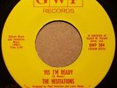 MINT (THE HESITATIONS) 