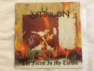 Satyricon / Enslaved – The Forest Is My Throne / Yggdrasill LP - 1996 1st Press