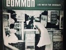 Common - Like Water For Chocolate 12
