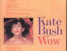 KATE BUSH Wow 7 INCH VINYL Italy Emi 1978 Pic Sleeve 00607048