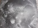 trashcan sinatras Vinyl, Wild Pendulum LP, 12