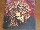 Janet Jackson - The Velvet Rope 2xLP (vinyl) – (1997, FIRST PRESS) Near Mint