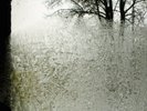 Bon Iver - For Emma Forever Ago vinyl LP NEW/SEALED IN STOCK