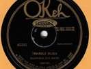 STRING BAND 78 RPM - ROANOKE JUG BAND (OK 45393) TRIANGLE BLUES/HOME BREW RAG