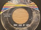 DEE DEE SHARP  WHAT KIND OF LADY GAMBLE NORTHERN SOUL ORIGINAL