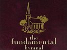 Butthole Surfers / Drowning Pool - Fundamental Hymnal [New Vinyl LP]