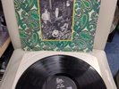 The Leaves, Hey Joe vinyl LP, first stereo press, Mira 1966