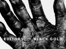 Editors - Black Gold (Black Vinyl) Vinyl 2LP NEU 09543801