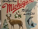 Sufjan Stevens | Greetings from Michigan | VINYL | NM | ORIGINAL PRESSING