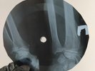 JIMI HENDRIX AINT NO TELLING X-Ray USSR Record Roentgen Bones Ribs Music Vinyl
