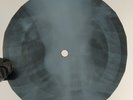 ELVIS ITS NOW OR NEVER X-Ray USSR Record Roentgen Bones Ribs Music Vinyl