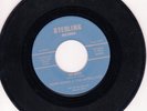 Norm Burns & The Satellites 45 9X Man/Call The Repair Man STERLING orig RARE 31