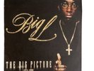 Big L Big Picture vinyl