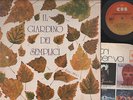 LP IL GIARDINO DEI SEMPLICI 1975 1° ALBUM CBS 81170 TOTO' SAVIO POP PROGRESSIVE