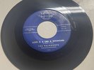 The Raindrops 1960 DOO WOP 45 Love Is Like A Mountain / Maybe CORSAIR Mint- HEAR