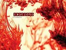 Oceansize : Effloresce VINYL 12