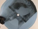 NINA SIMONE BLACK IS THE COLOR X-Ray USSR Record Roentgen Bones Ribs Music Vinyl