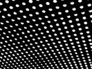 Beach House: Beach House Bloom Vinyl