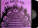 Burnin' Rain PICTURES IN THE FIRE 1993 lp Rockadelic #371/600 Texas psych INSERT