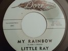 Little Ray 