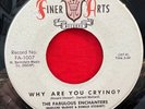 Fabulous Enchanters - Why Are You Crying / Something Blue - Finer Arts - RARE 45
