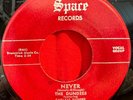 The Dundees - Evil One / Never - Spare - RARE R&B TITTYSHAKER 45