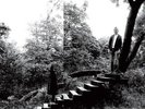 TIMBER TIMBRE-TIMBER TIMBRE VINYL LP NEW