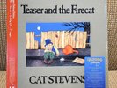 New Teaser and The Firecat Cat Stevens Super Deluxe Blu-Ray + CD + Vinyl Box Set