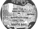 Beastie Boys - Cooky Puss (12