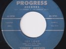 COOKIE JACKSON Try Love  r&b 45 northern soul Progress Hot Dog HEAR