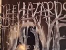 The Decemberists DOUBLE VINYL  Hazards Of Love