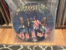Sloppy Seconds - Destroyed - Picture Disc - Rare Punk Vinyl - Out Of Print