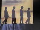 vinyl records- Echo And The Bunnymen- Songs To Learn & Sing- 2022 Pressing New