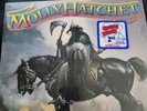 Molly Hatchet - Self Titled (Vinyl Record