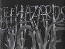 Decemberists - Hazards Of Love - Vinyl Record lp.. - S16136A