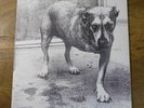 Alice in Chains - Self-Titled 2 LP 12