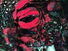 WARPAINT  The Fool  2xLP Vintage 1st Pressing 2010 Double Black Vinyl w/ Sleeves
