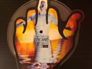 Eminem Just Don't Give A Fuck 7” Picture Disc Vinyl Signed Autographed
