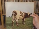 PINK FLOYD - ATOM HEART MOTHER 1st press VINYL LP - HARVEST A1 / B1  NO EMI