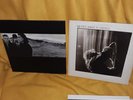 U2: Wide Awake in America and The Joshua Tree album lot.