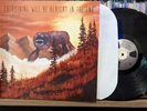 Weezer - Everything Will Be Alright in the End vinyl record