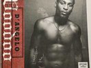 D'Angelo Voodoo 12