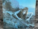LP Roxy Music - Siren | Japan | VG+/EX | Rock