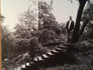 Timber Timbre - Timber Timbre - Vinyl Record.. - P7351A